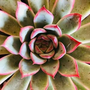 Meet your Posher, Beth